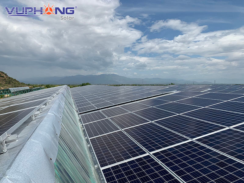 Điện mặt trời kết hợp nông nghiệp tại Việt Nam ( Lợi ích Kép )